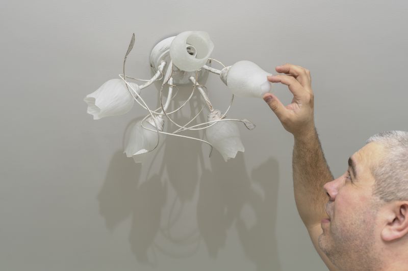 Cathedral Light Replacement in Olathe, KS